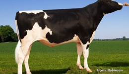 £PLI delivers real-life profits – new study finds